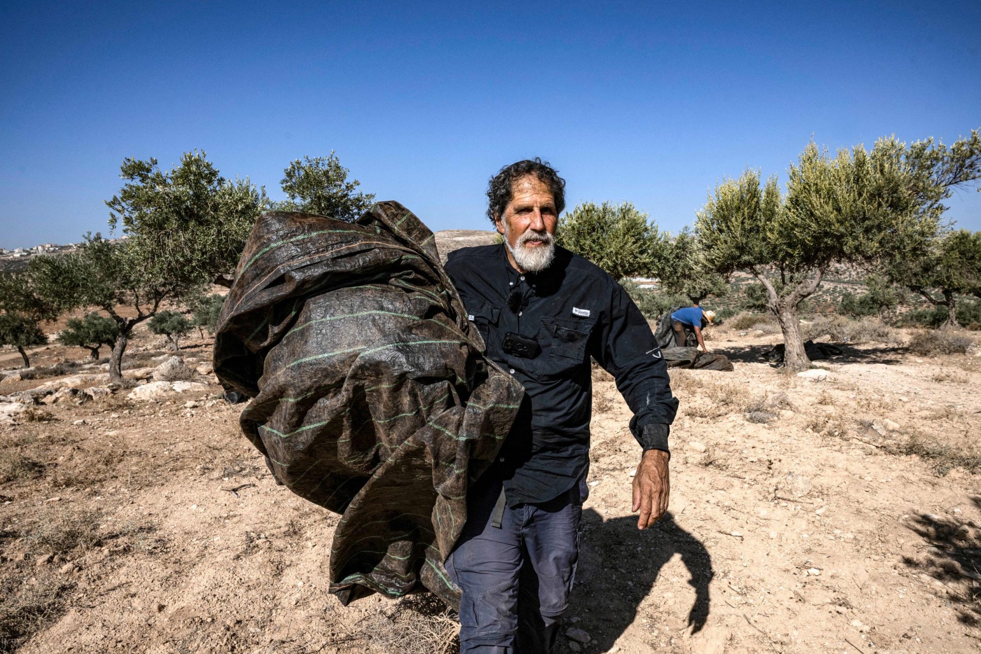 US-born Israeli Reform Jewish rabbi Arik Ascherman, a member of the Israeli human rights organization "Rabbis for Human Rights", helps Palestinians during the olive harvest at a grove outside Ramallah in the occupied West Bank on November 9, 2023. Photo by ARIS MESSINIS/AFP via Getty Images