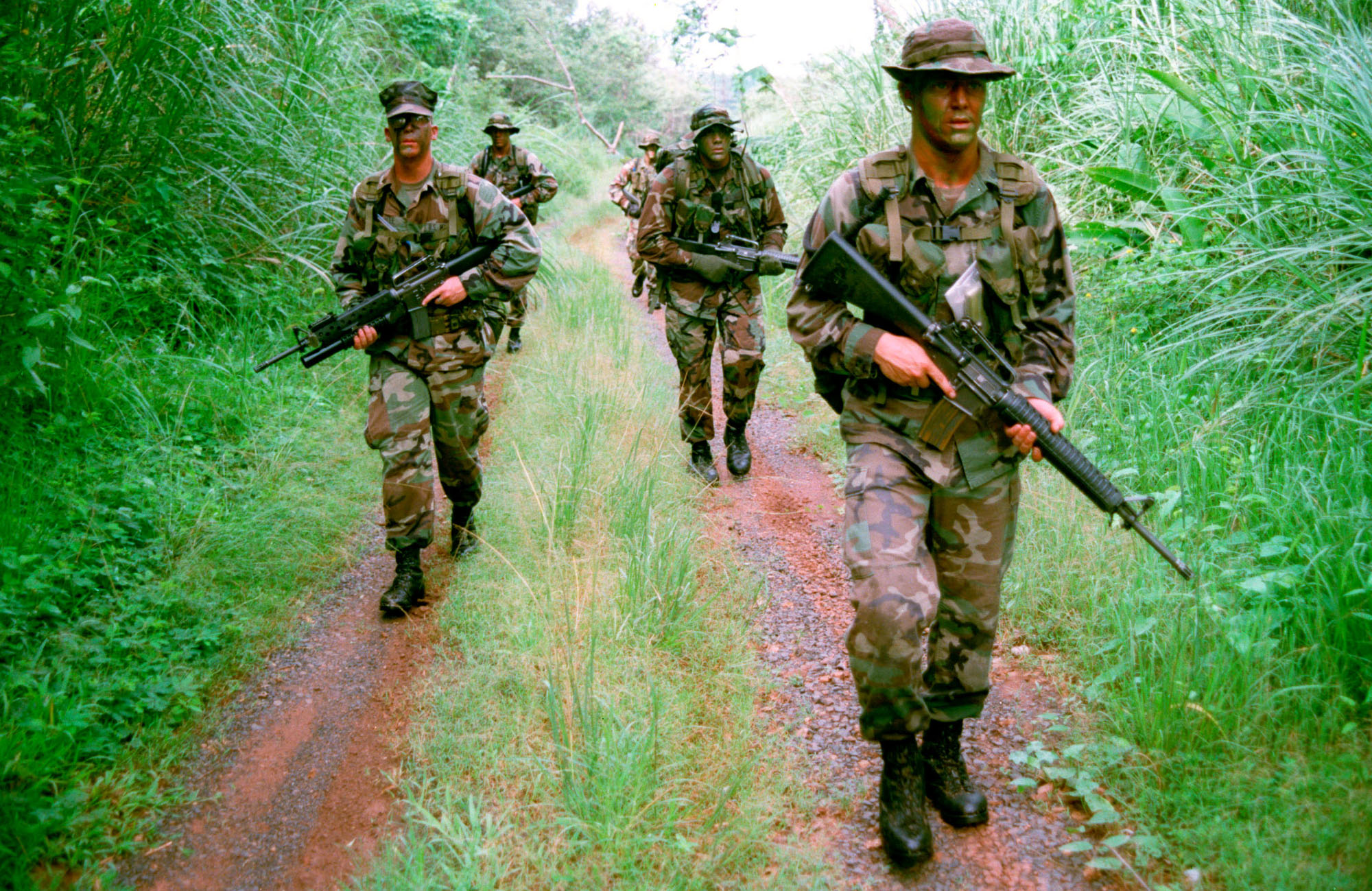 U.S. Marines Search The Tree Line For Trails Left By Intruders During A Jungle Patrol On Fort Howard, Panama, On June 11, 1999. Photo By Getty Images