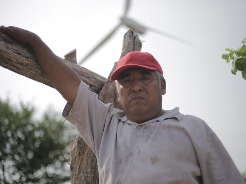 An older man stands in a field, wearing a button up short-sleeve shirt and a red cap. Behind him, a wind turbine can be seen.