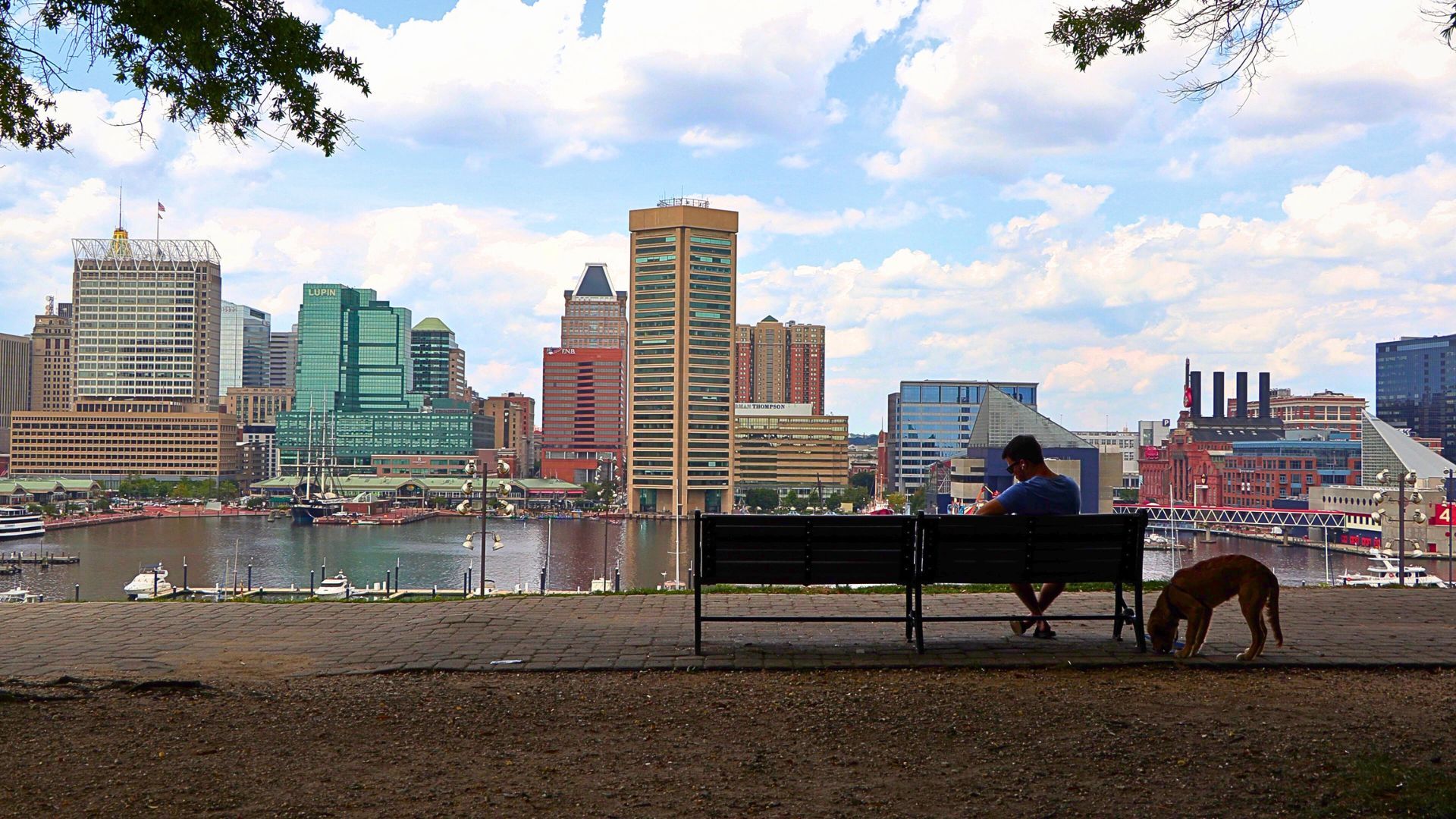 Photo of Baltimore's Inner Harbor by Taya Graham